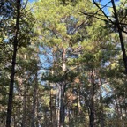 IMG_2580.jpeg